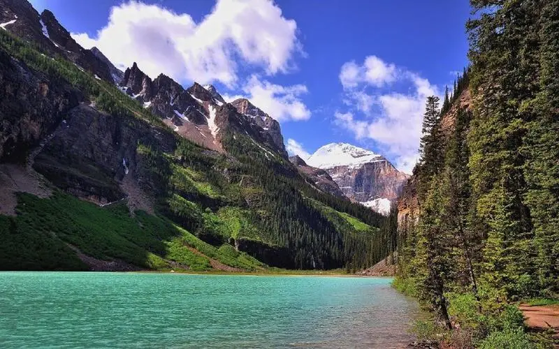 信息化智能系统稳定性